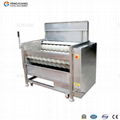 MSTP-500 Fresh washer peeler