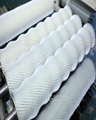 Industrial Customized Food Cleaning and Peeling Nylon Brush Roller 2