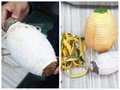 台式小型瓜果削皮机 菠萝木瓜椰子削皮机 6