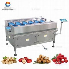 Industrial Food Digital Electronic Weight Scale System Packing Machine Price