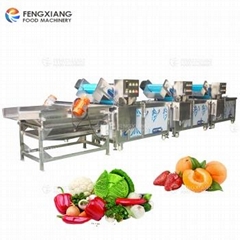 Vegetable Salad Processing Line For Cutting ,Bubble Washing ,Dehydrating