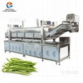  Automatic Lifting Vegetable Blanching Machine Green Beans Pre-Boiling Equipment 1