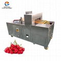  Commercial Automatic Cherry Pitting Machine Fruit Destoning Machine