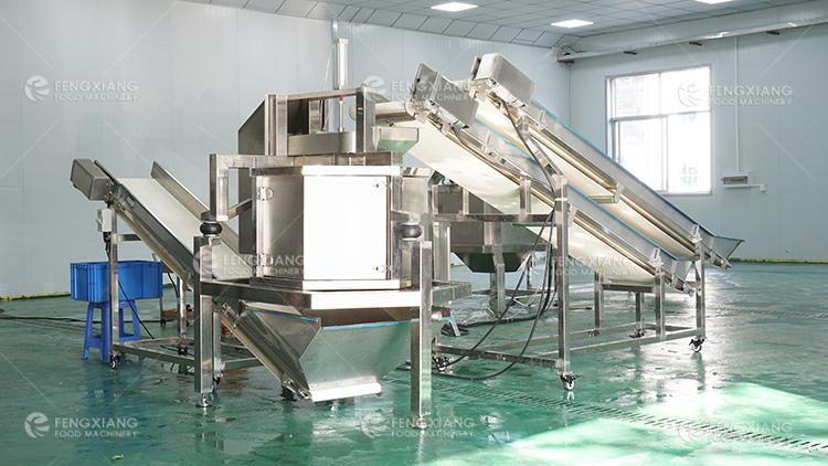 Fengxiang Continuous Vegetable And Fruit Spin Centrifugal Dewatering Machine 2