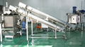 Fengxiang Continuous Vegetable And Fruit Spin Centrifugal Dewatering Machine 3