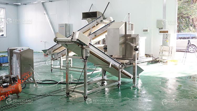 Fengxiang Continuous Vegetable And Fruit Spin Centrifugal Dewatering Machine 5