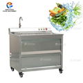 WASC-10 Vegetable Washing Machine