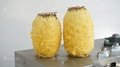 椰子木瓜菠蘿削皮機 小型瓜果削皮機