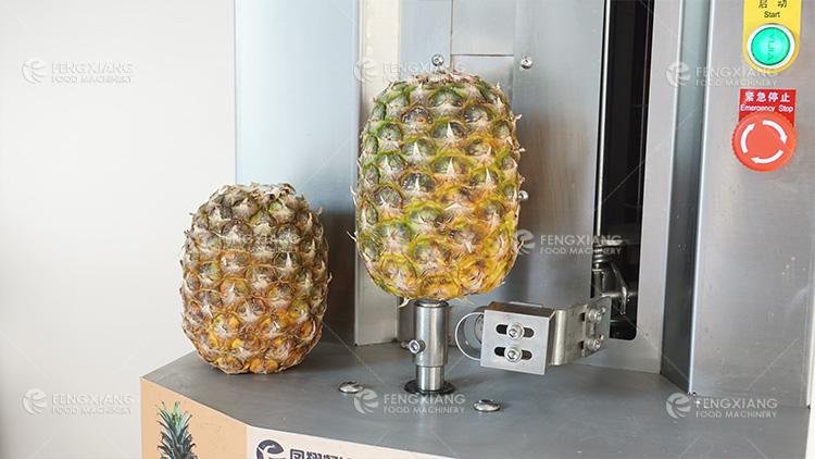 椰子木瓜菠萝削皮机 小型瓜果削皮机 4