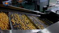 PT-2000 Vegetable Potato Chips Blanching Machine