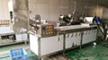 PT-2000 Vegetable Potato Chips Blanching Machine 2