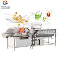 Vegetable Washing & Peeling Machines