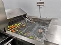 Industrial Fruit Processing LIne Orange Washing Dewatering Sorting Machines 5