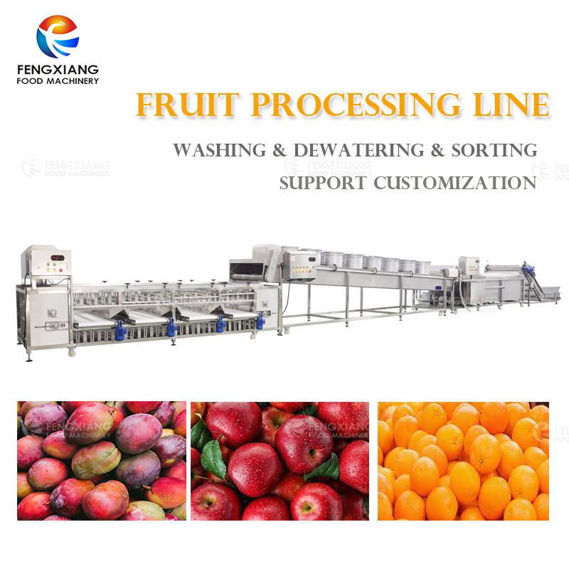 Industrial Fruit Processing LIne Orange Washing Dewatering Sorting Machines