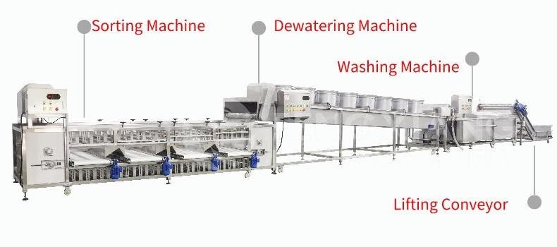 Industrial Fruit Processing LIne Orange Washing Dewatering Sorting Machines 2