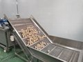 Industrial Fruit Processing LIne Orange Washing Dewatering Sorting Machines 3