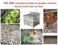  Fruit Washer Vegetable Washing Machine  7