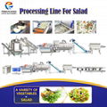 vegetable salad cutting washing drying