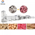 Potato Production Line Ginger Washing Line Vegetable Washing Drying Machine 1