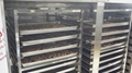 Food Dryer Fruit Vegetable Drying Machine Meat Beef Making Machine  2