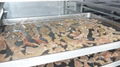 凤翔 食品烘干机 工业肉干烤箱 果蔬干燥机