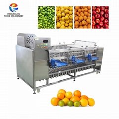 Vegetable Sorting Machine Sorter Fruit Sorting Grading Machine