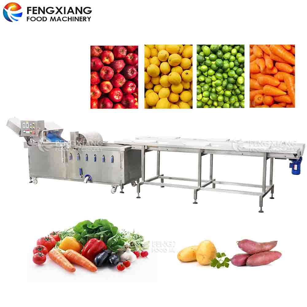 WA-1000 Vegetable Washing Machine Fruit Apple Orange Washer  2