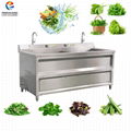 Vegetable Blancher Washer Fruit and