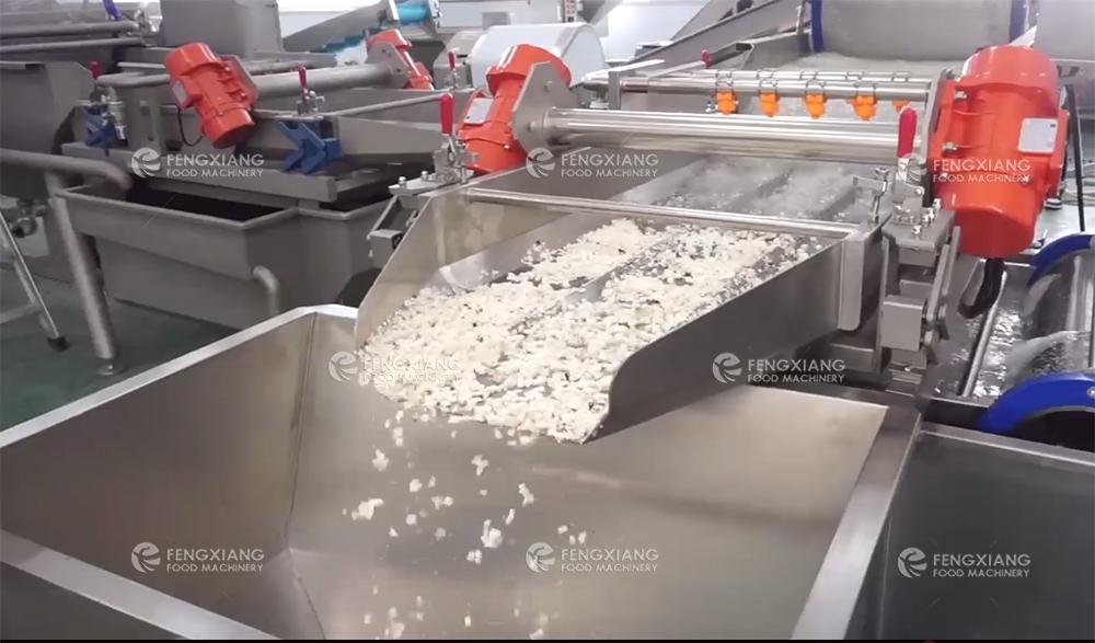 鳳翔 木薯清洗削皮切丁生產線 5