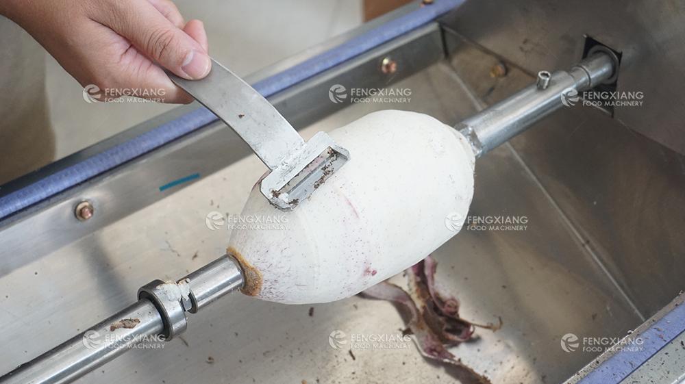 FXP-11 Speed-Regulating Large Fruit Pumpkin, Taro Vegetable Peeling Machine 7