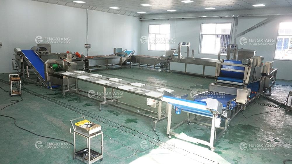 Spinach Vegetable Cutting Washing Blanching Line 2