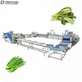 Spinach Vegetable Cutting Washing Blanching Line