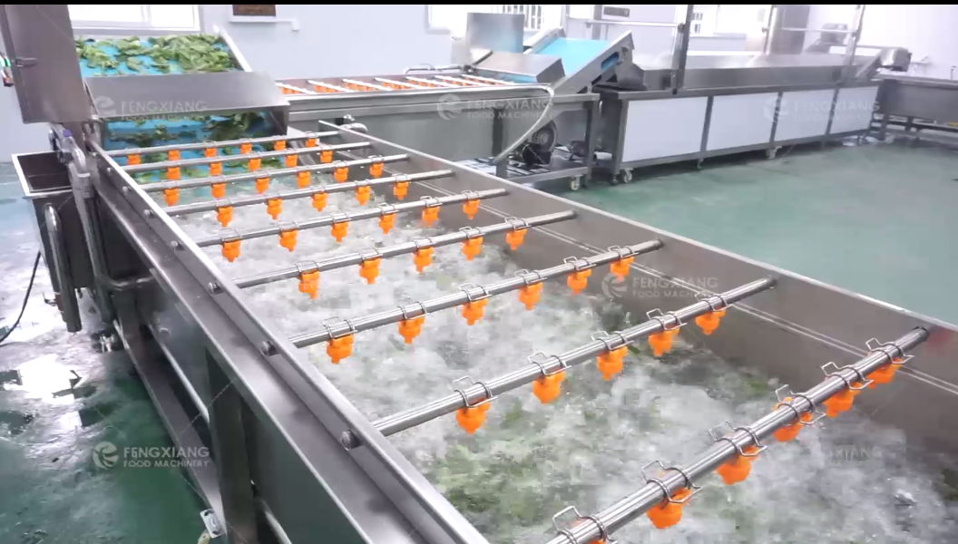 鳳翔 速凍菠菜前處理生產線 葉菜加工生產線 3