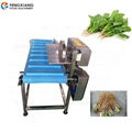 Vegetable Heads or Roots Cutting Machine