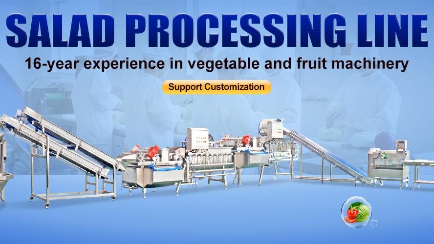  Vegetable Salad Processing Line Fruit And Vegetable Cutting Washing Machine