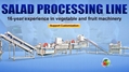 Vegetable Salad Processing Line Fruit