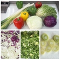 Fruit And Vegetable Cutting Machine Cabbage Shredder Green Onion Cutter 3