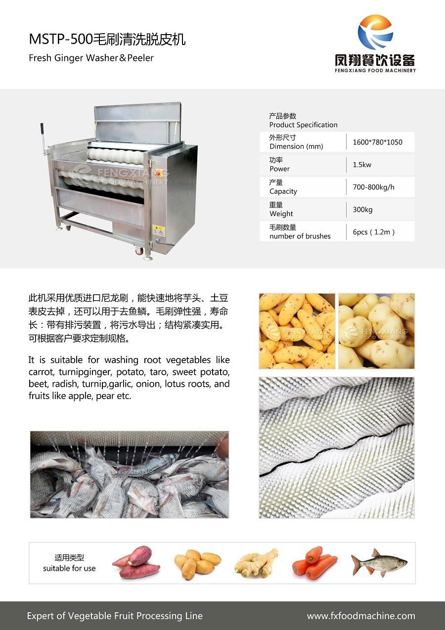 MSTP-500 Fresh Potato Fish Ginger Washer & Peeler 2