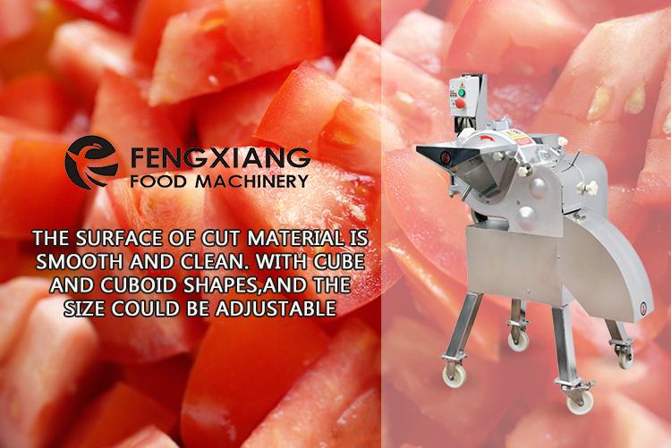 CD-800  Vegetable Dicing Machine  2