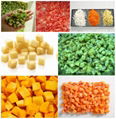 CD-800  Vegetable Dicing Machine  5