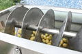 LXTP-3000 Screw type vegetable washer peeler