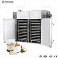 CT-C-I Single Door Hot Air Circulation Oven