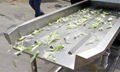  Vegetable Salad Processing Line For Cutting ,Bubble Washing ,Dehydrating 3