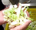  Vegetable Salad Processing Line For Cutting ,Bubble Washing ,Dehydrating