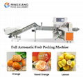  Automatic Filling Bag And Sealing Fruit Packing Machine For Tangerine Lemon