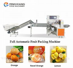 Automatic Filling Bag And Sealing Fruit Packing Machine For Tangerine Lemon