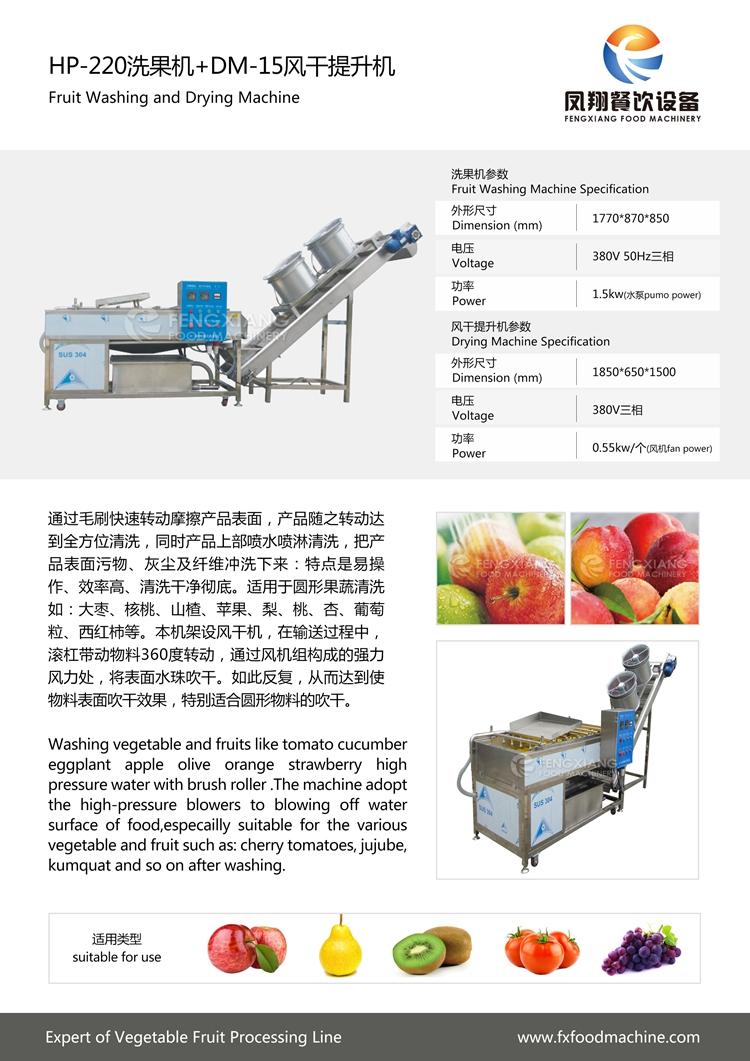 HP-220 Fruit washing and drying machine 4