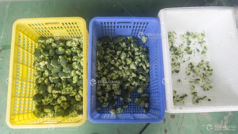 凤翔 皮带式分级机 5