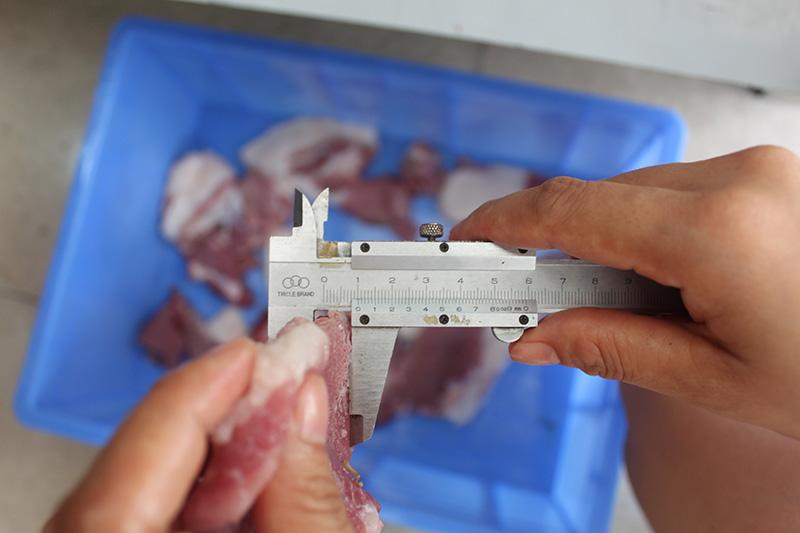 QW50 Large Type Meat Cutting Machine FENGXIANG (China Manufacturer