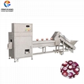 Onion top and tali cutting machine, root cutting machine 1